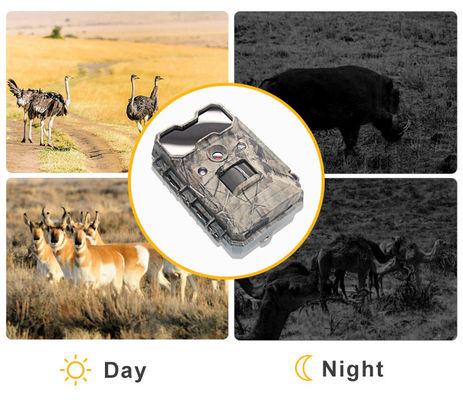 Câmera de vida selvagem ativada por movimento