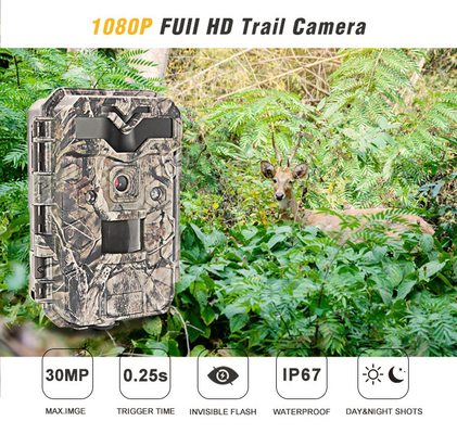 Tela HD de 2,4 polegadas que caça a câmera completa da caça da fuga do diodo emissor de luz HD 1080P do IR das câmeras