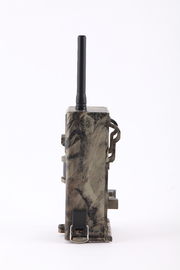 Fuga Camera12MP HD Wireless Hunting Camera do MMS da imagiologia térmica da G/M GPRS