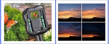 apoio SDHC MMC do Time Lapse da câmera de 1.3M Pixels Wildlife Garden