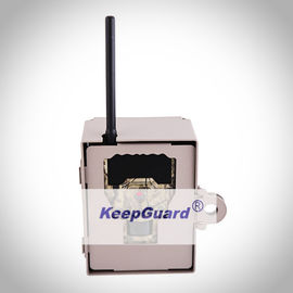 Tamanho exterior da imagem de KG870 Digitas Live Wildlife Cameras 12MP 4000X3000