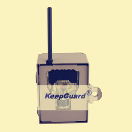 Tamanho exterior da imagem de KG870 Digitas Live Wildlife Cameras 12MP 4000X3000
