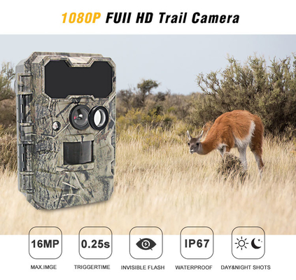 Câmera exterior 20MP IP67 dos animais selvagens do infravermelho da câmera KG790 dos cervos