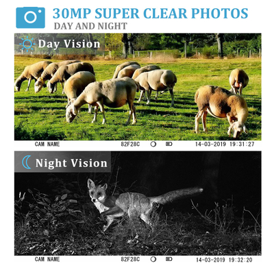 Câmera de caça exterior dos animais selvagens da fuga da câmera 30Mp 1080P com o ftp do smtp do MMS