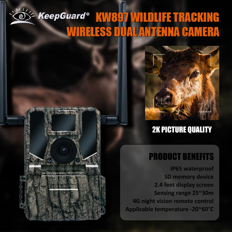 4G Wireless Trail Camera Hidden Camouflage KW897 com Dual Antennas Night Vision 36MP 2K Video para caça de veados