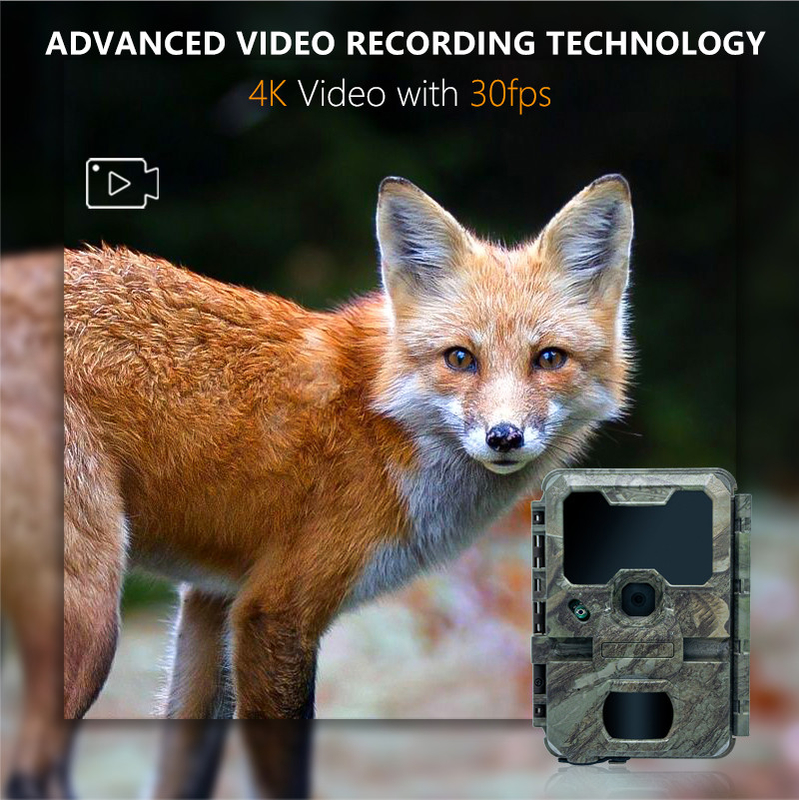 Câmera de caça de visão noturna com tamanho pequeno KW788 0.1s desencadeia imagem nítida de 32MP vídeo 4K à prova d'água IP67 para caça